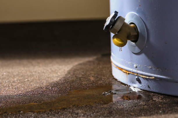 Best Mold removal after water damage  in Russell, KY