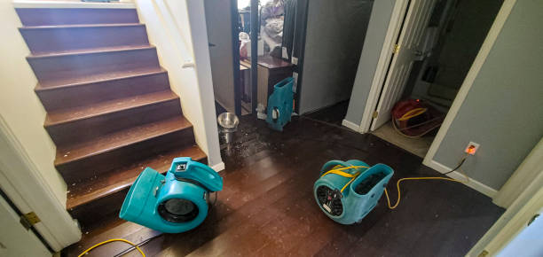 Best Water damage restoration near me  in Russell, KY