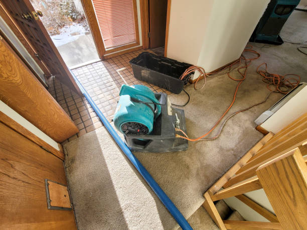 Best Flooded house restoration  in Russell, KY