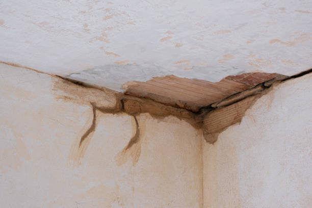 Best Emergency water damage restoration  in Russell, KY