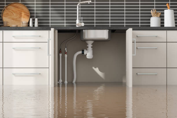 Best Commercial water damage restoration  in Russell, KY