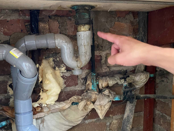 Best Flood damage cleanup  in Russell, KY