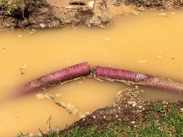 Trusted KY Water damage restoration Experts