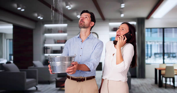 Best Flood restoration services  in Russell, KY